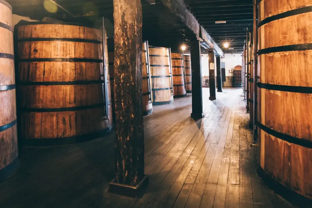 Bodega Cómo Se Hace El Vino