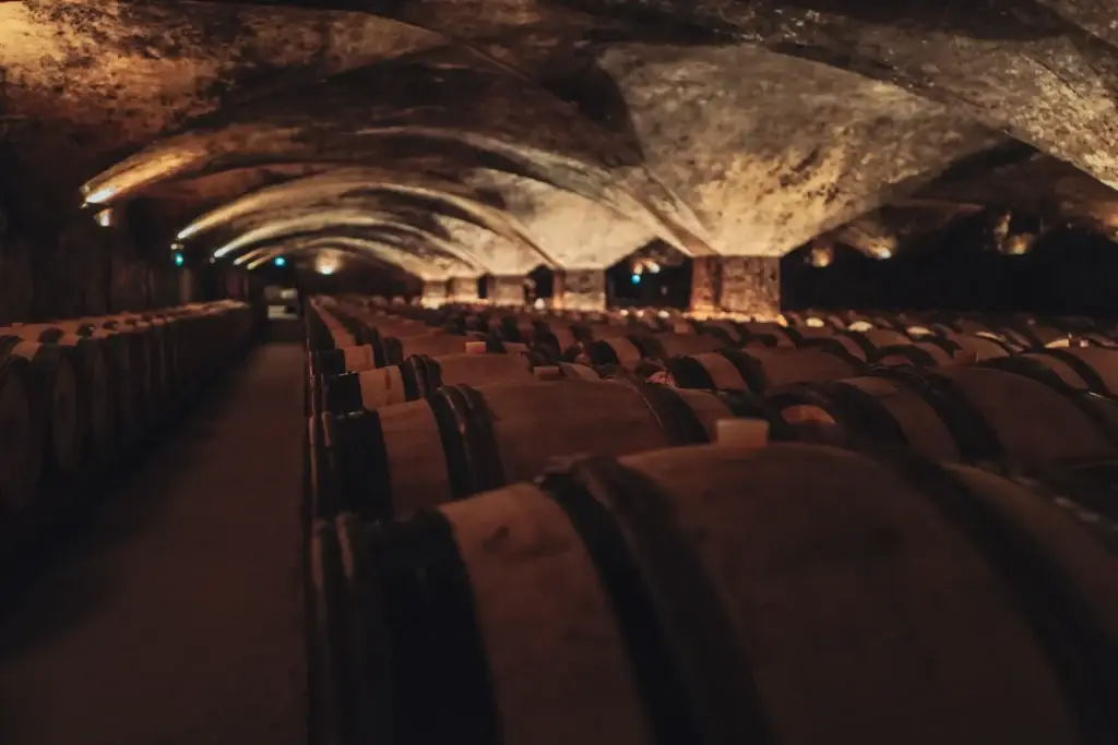 Bodega Valle Del Maipo