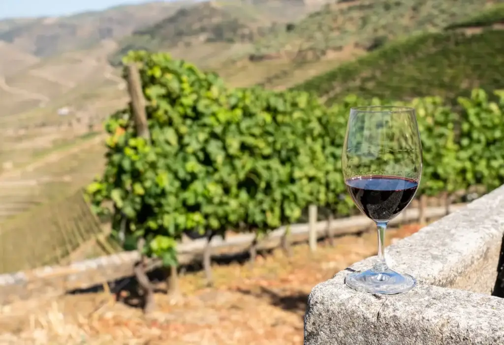 Copa de vino Carmenère mostrando su característico color rojo oscuro y violáceo