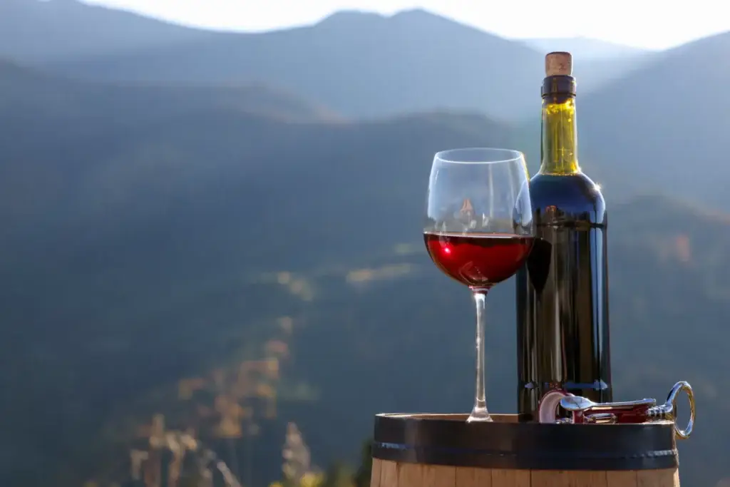 Vino Paisaje The Worlds 50 Best Vineyards Chile