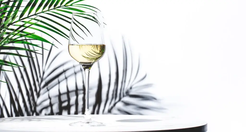 Copa de Sauvignon Blanc con viñedo costero y neblina de fondo